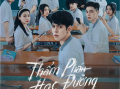 《少年法官》讲述了一群高中生因同性恋而受到折磨的故事2024.9.28越南[全20集]